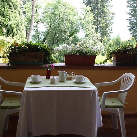 Villa "L'Unica " Lucca Luaran gambar